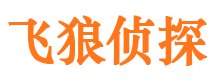 蒸湘外遇出轨调查取证